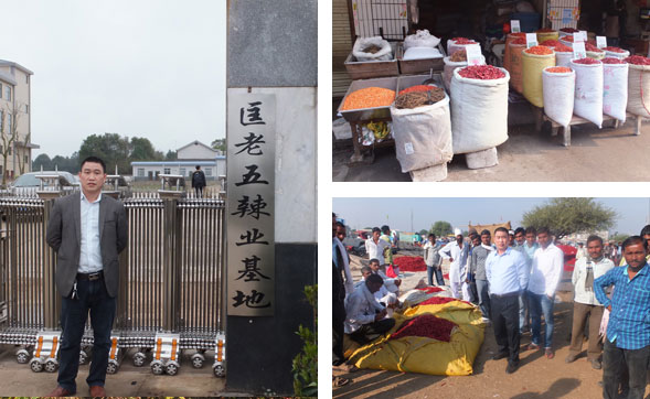 湖南干辣椒批发市场